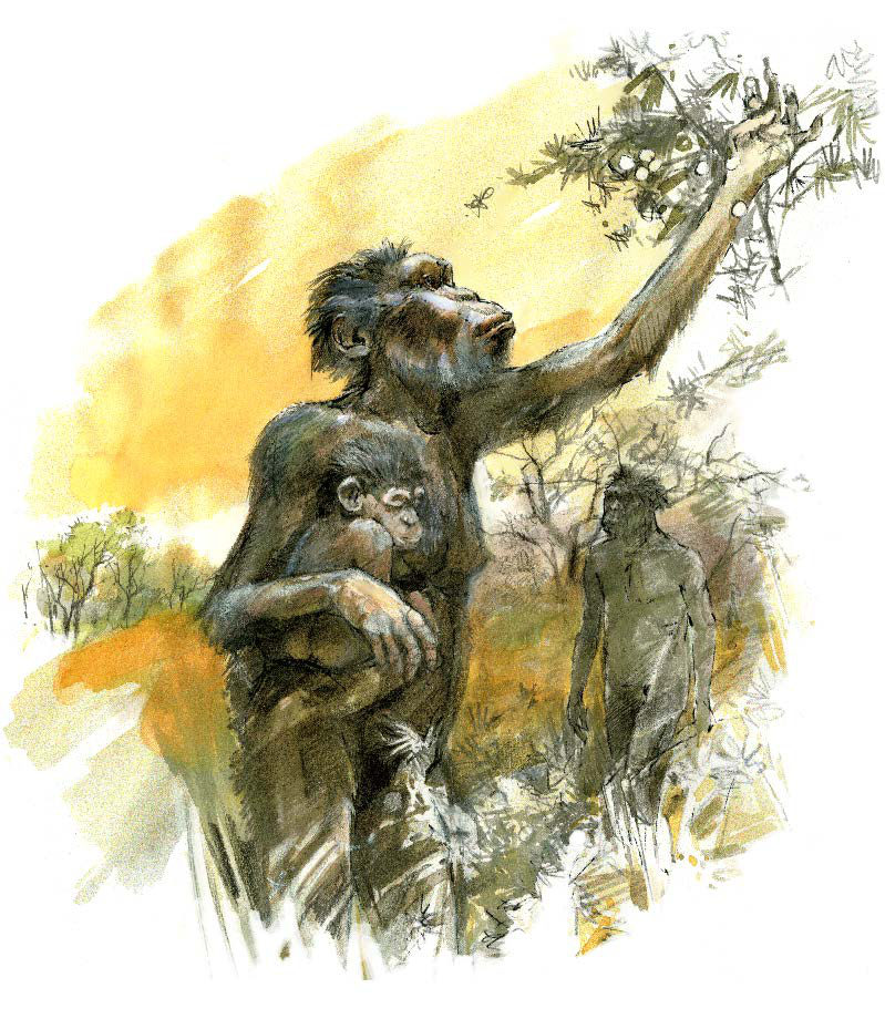 Lucy harvesting fruit