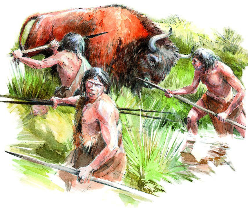 Hunters with spears surrounding a bison in tall grass