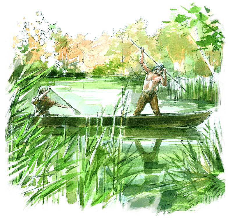 A man fishing from a dugout canoe among reeds