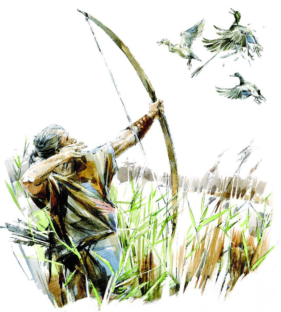 An archer aiming at ducks
